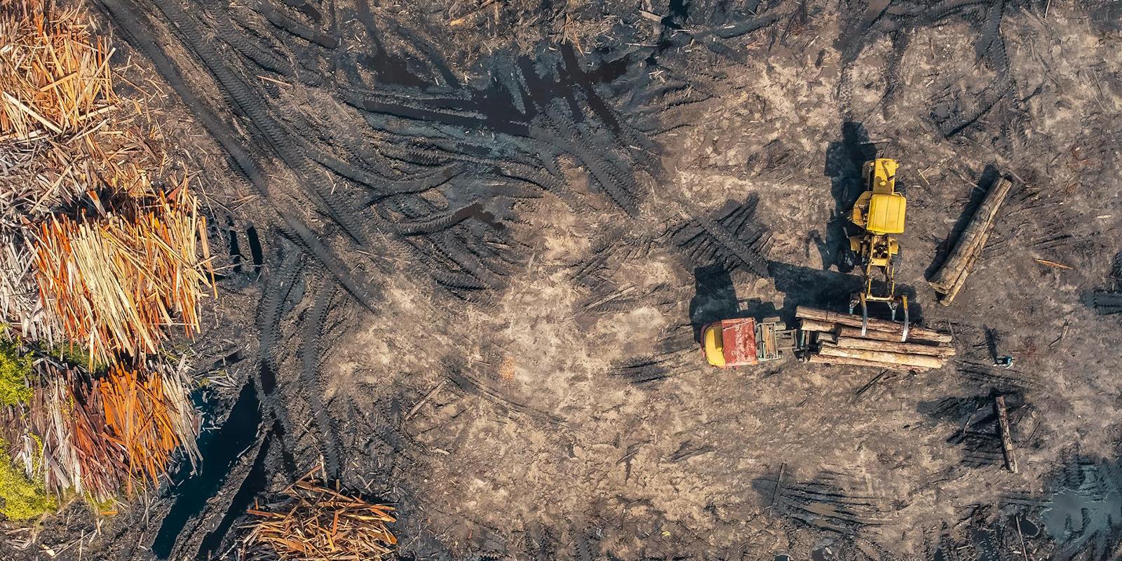 KKP Prepares Derivative Regulations of Perpres for Marine and Fishery Mitigation