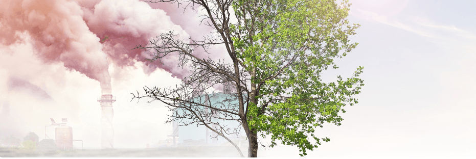 Government Discusses Draft Regulation on Water Sources