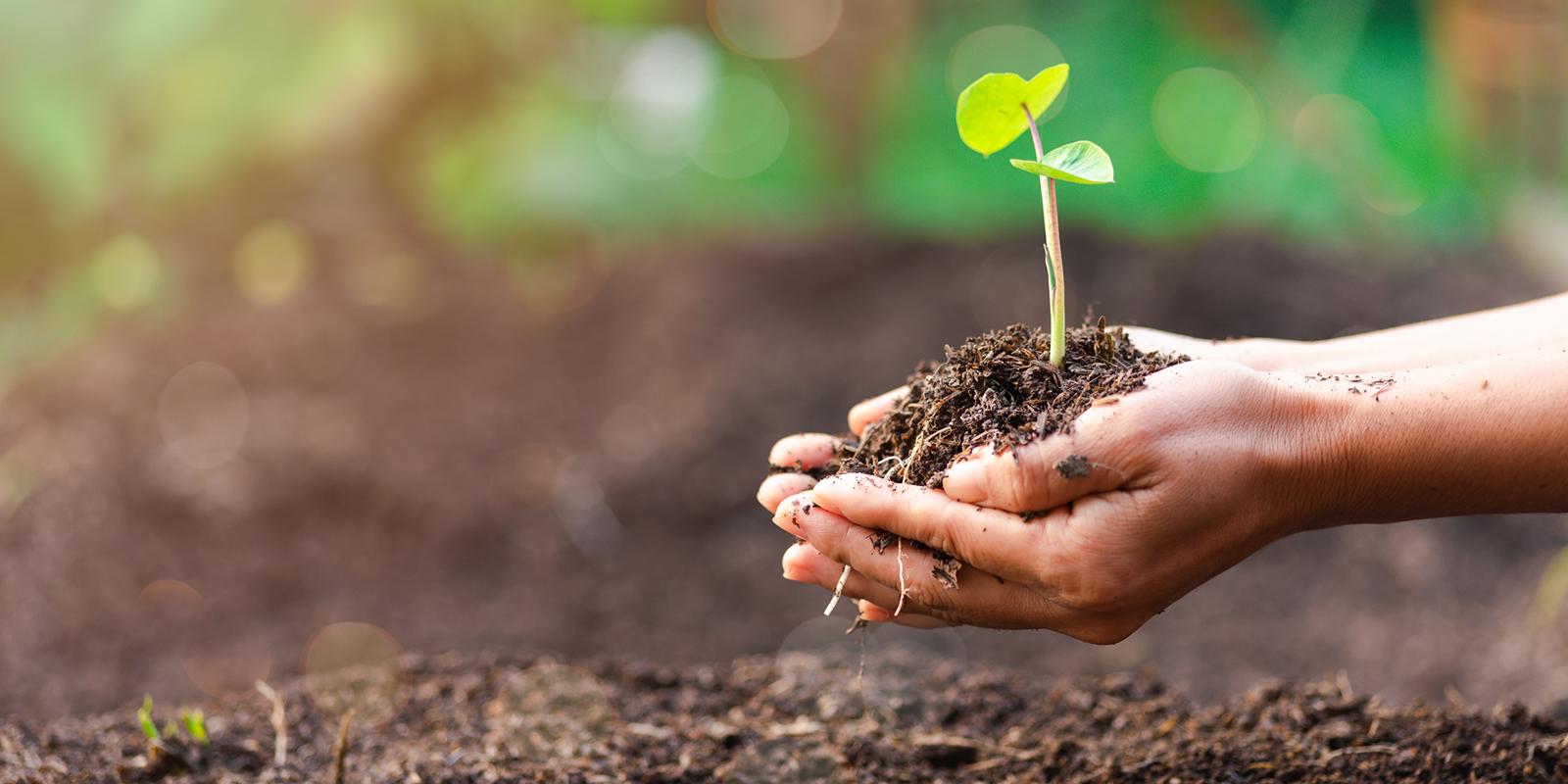 Government Prepares Regulation on Genetic Resources